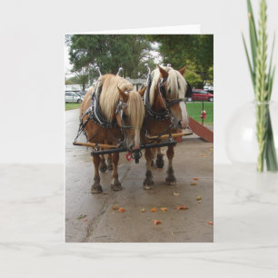 Carte Belgian Horses