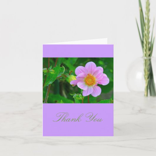 CARTE BELLE ANÉONE ROSE-LAVANDE (Devant)