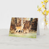 Carte Belle Aquarelle blanche cerf Buck blanc (Fleur jaune)