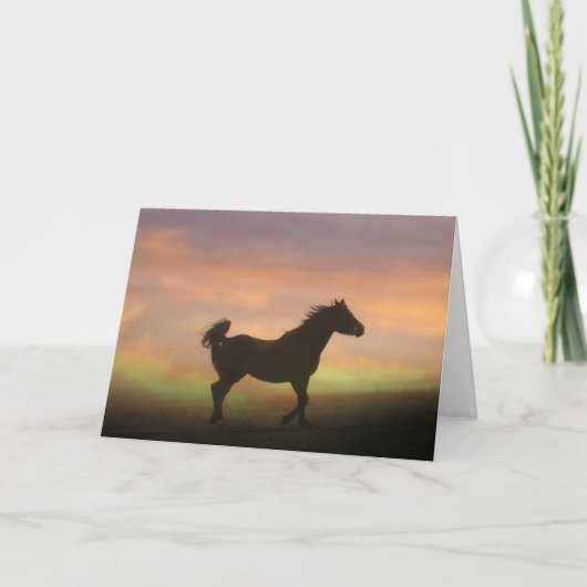 Carte Belle Arabian Horse Dans Sunrise Note Card (Devant)