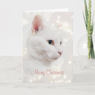 Carte Belle Chat Blanc avec lumières de Noël