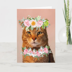 Carte Belle Chat MEOWVELOUS Anniversaire