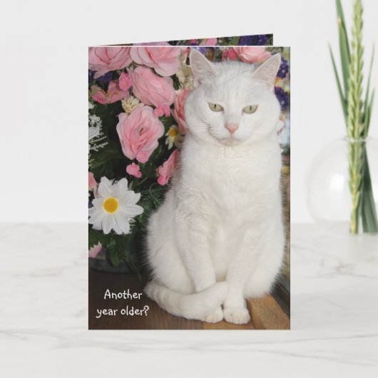 Carte Belle Chat Personnalisable Anniversaire Féminin (Devant)