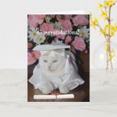 Carte Belle Chat Personnalisable Diplôme Féminin (Fleur jaune)