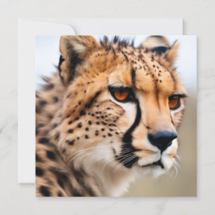Carte Belle Cheetah