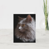 Carte Belle couverture grise bleue russe chat Nebelung B (Devant)