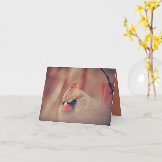 Carte Belle Femme Cardinal Bird (Fleur jaune)