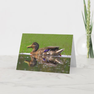 Carte Belle Fête des pères de canard de Mallard