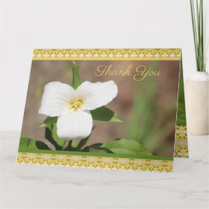 Carte Belle Fleur Blanche