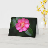 Carte Belle Fleur de Camellia Rose après une pluie (Fleur jaune)