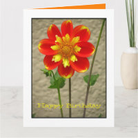 Belle fleur de jaune orange