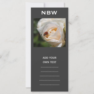 Carte belle fleur de rose blanche et coccinelle