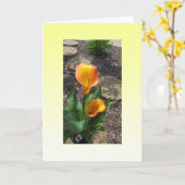 Carte Belle Fleurs Jaunes Blank (Fleur jaune)