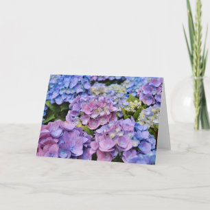 Carte Belle Hydrangea Flowers Art Note Card