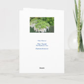 Carte Belle image de jardin de la glycine blanche ! (Dos)