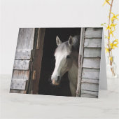Carte Belle jument grise Ranch rustique (Fleur jaune)