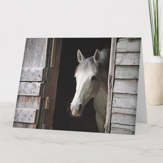 Carte Belle jument grise Ranch rustique (Devant)
