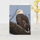 Carte Belle maman (Aigle) (Fleur jaune)