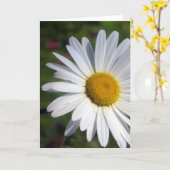 Carte Belle marguerite (Fleur jaune)