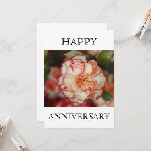 Carte Belle oeillet joyeux anniversaire (Devant/Arrière en situation)