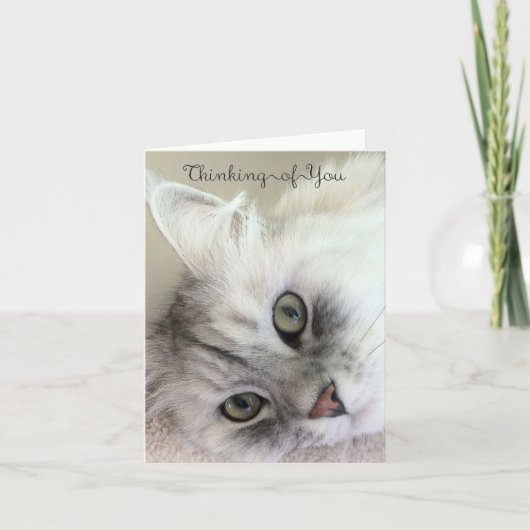 Carte Belle pensée à vous (carte vierge de note) (Devant)