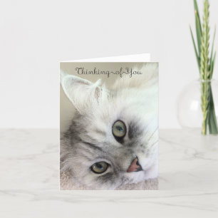 Carte Belle pensée à vous (carte vierge de note)