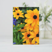 Carte Belle photo de marguerite jaune (Debout devant)