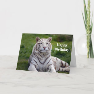 Carte Belle photo de tigre blanc Anniversaire
