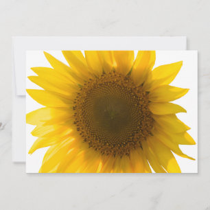 Carte Belle photo de tournesol réaliste, motif minimalis