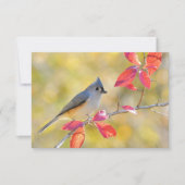 Carte Belle photo d'oiseau | Gros plan | Coeur (Devant)