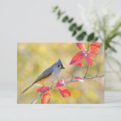 Carte Belle photo d'oiseau | Gros plan | Coeur (Debout devant)