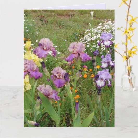Carte Belle photo florale d'iris violet (Fleur jaune)