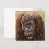 Carte Belle photographie de Borneo Orangutan (Devant / Derrière)