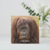 Carte Belle photographie de Borneo Orangutan (Debout devant)
