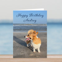 Belle Plage Corgi Custom Joyeux Anniversaire