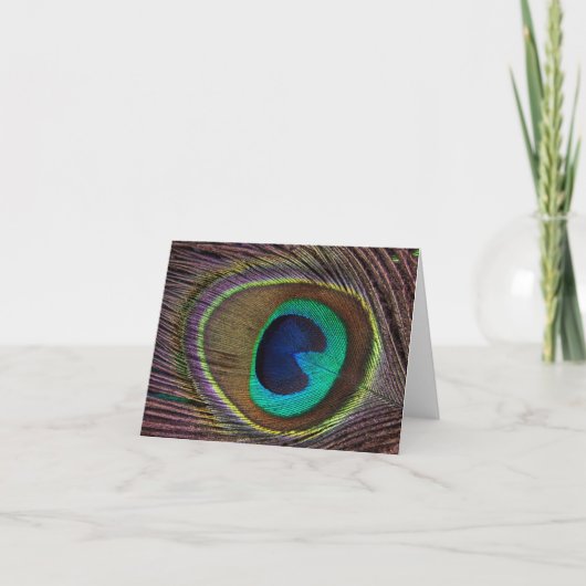 Carte Belle plume de paon (Devant)