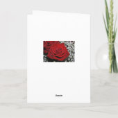 Carte Belle Rose Rouge (Dos)