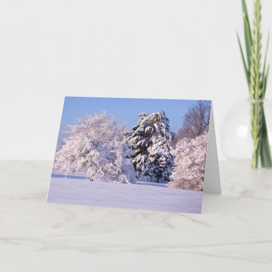 Carte Belle scène de neige (Devant)