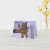 Carte Belle Tabby Brown (Fleur jaune)