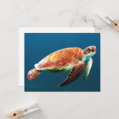 Carte Belle tortue verte (Devant/Arrière en situation)