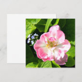 Carte Belle tulipe rose (Devant / Derrière)