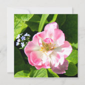 Carte Belle tulipe rose (Devant)