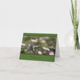 Carte Belles anémones en bois blanc