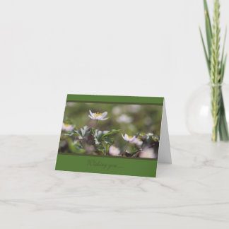 Carte Belles anémones en bois blanc