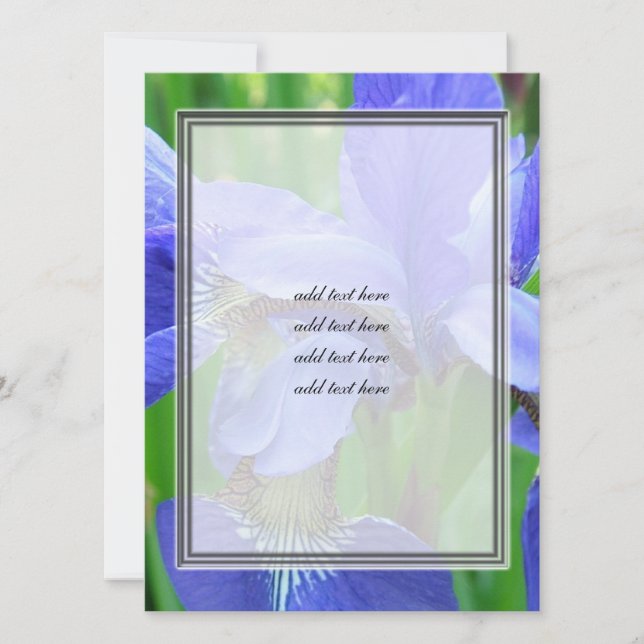 Carte belles fleurs d'iris bleu (Devant)