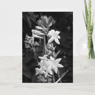 Carte Belles Fleurs Noir et Blanc Fête des Mères