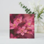 Carte Belles Fleurs Roses (Debout devant)