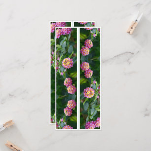 Carte Belles Fleurs Roses Deux Signets