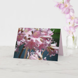 Carte Belles lis roses