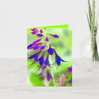 Carte Bellfleurs